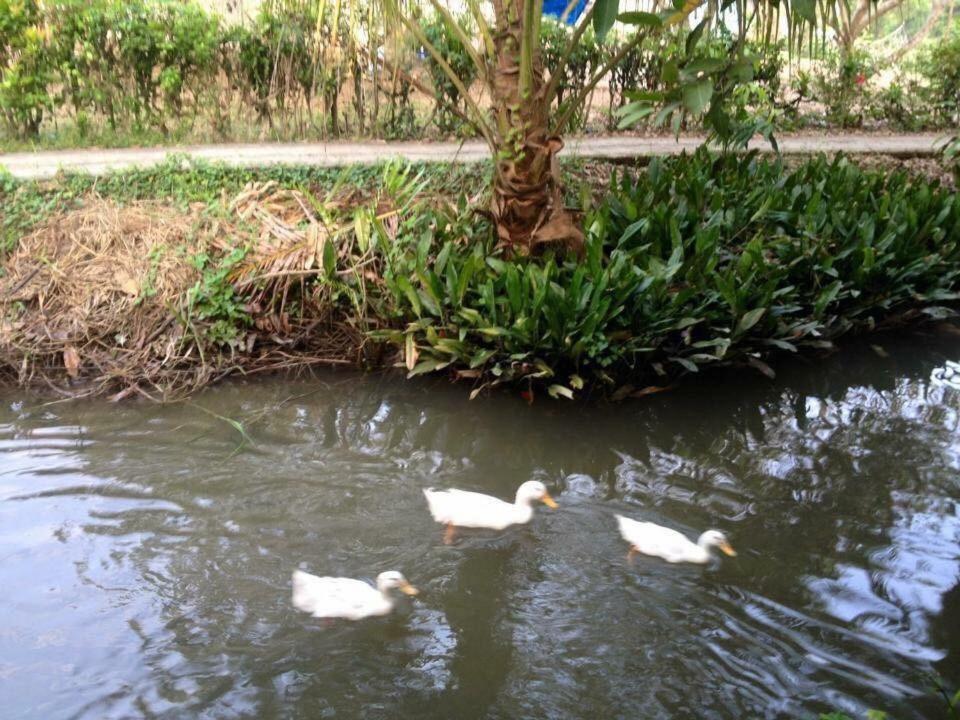Nam Thanh Homestay Vĩnh Long Extérieur photo