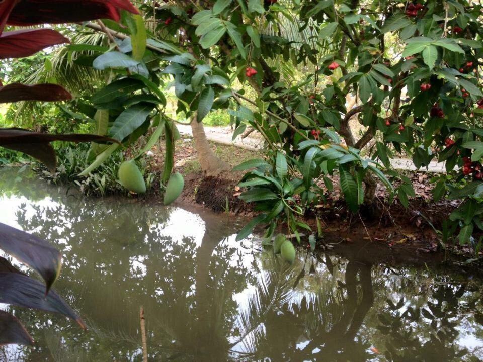 Nam Thanh Homestay Vĩnh Long Extérieur photo